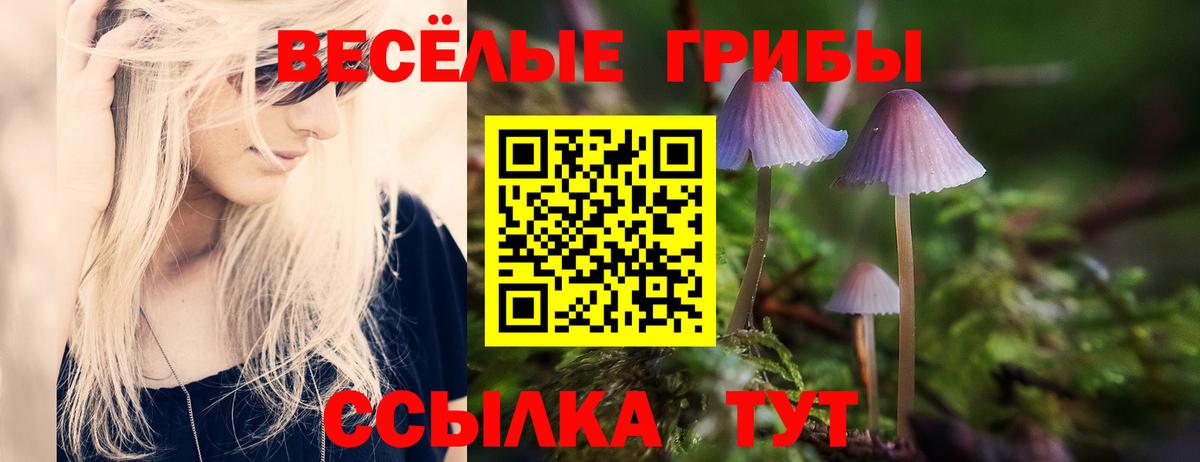 Прокопьевск  Галлюциногенные грибы Magic Shrooms  где продают наркотики  Вход с VPN 